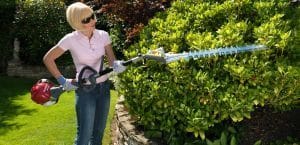Hedgetrimmer - Short - Image 2